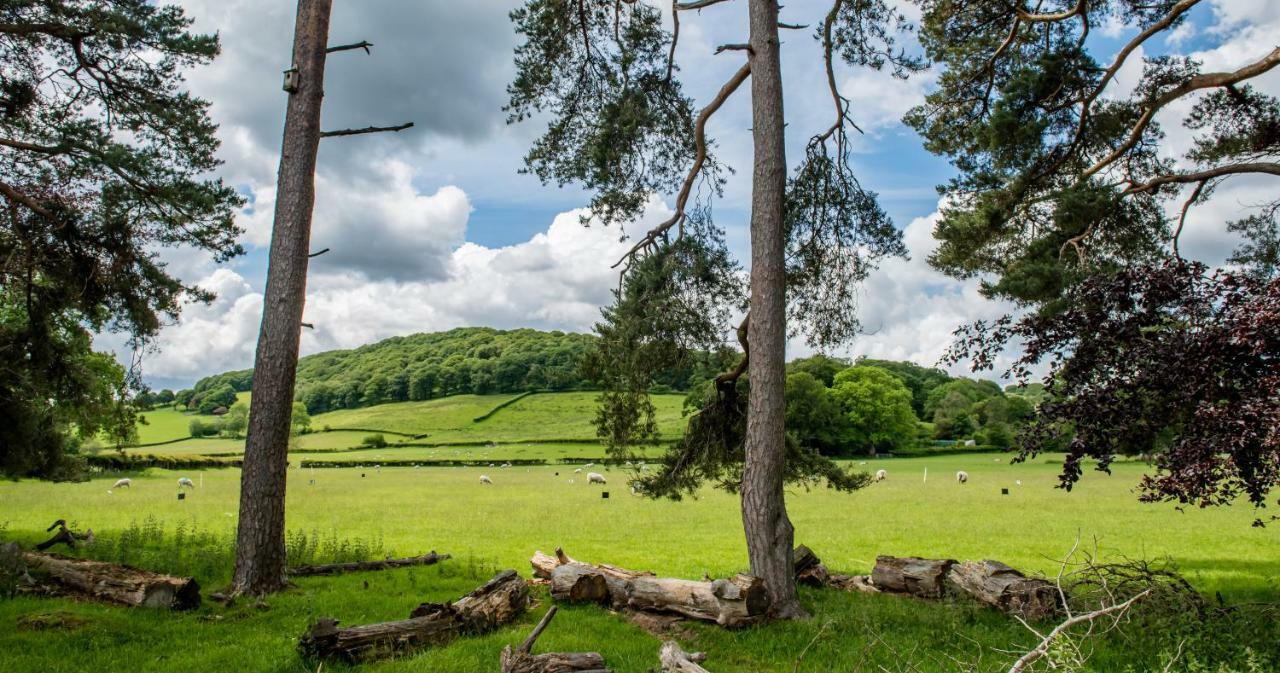 Swn Y Coed Bed & Breakfast Llanwrtyd Wells ภายนอก รูปภาพ